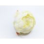 Kép 2/3 - Peonia, pünkösdi rózsa fej, 8 cm-es - fehér