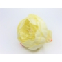 Kép 3/3 - Peonia, pünkösdi rózsa fej, 8 cm-es - fehér