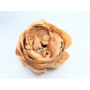 Kép 3/3 - Peonia pünkösdi rózsa fej, 8 cm-es - világosbarna